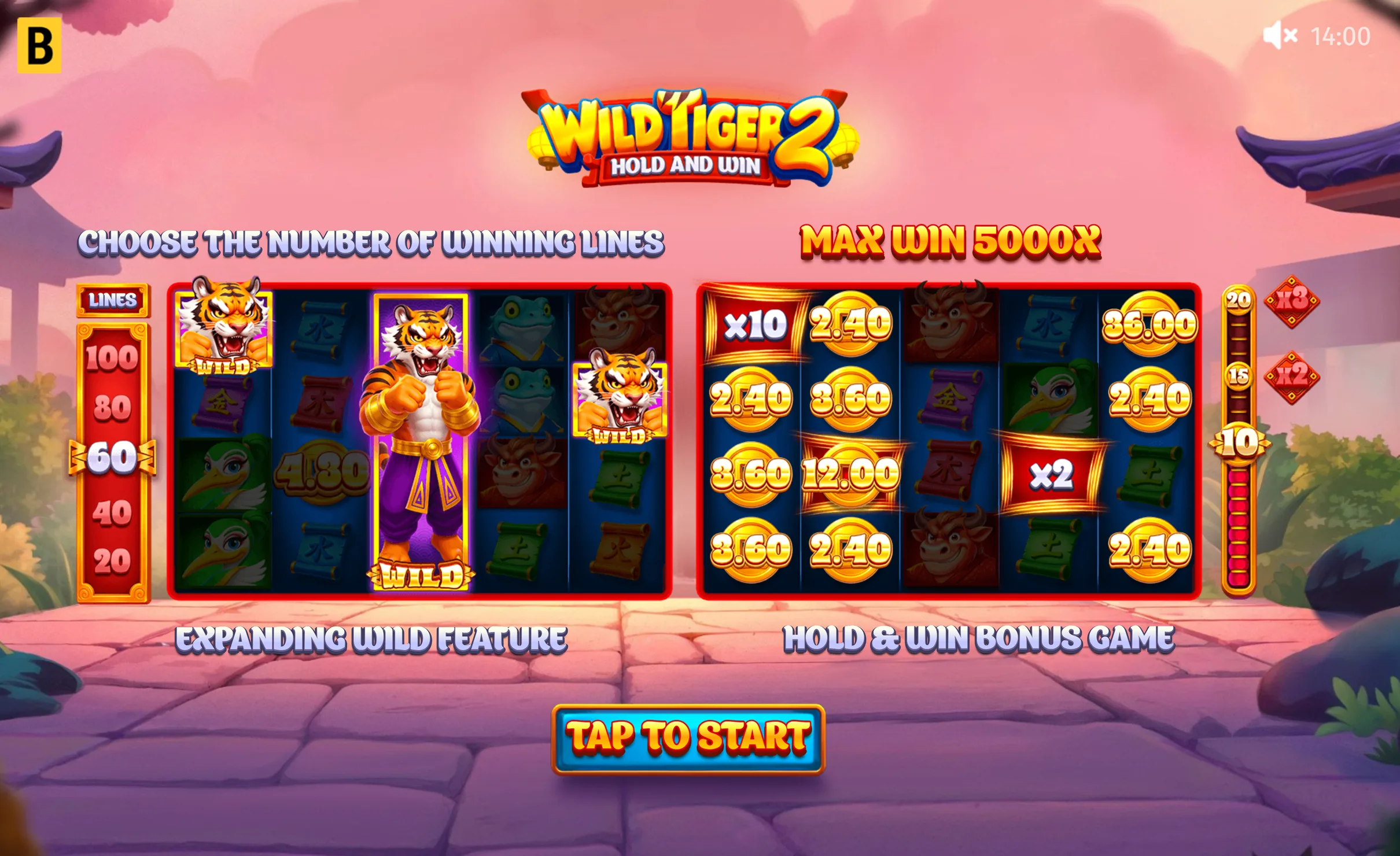 Wild Tiger 2 — изображение 5